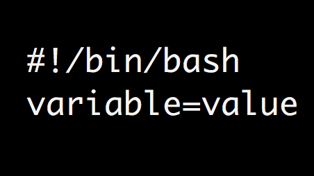 Variables in Linux Shell Scripts: Explained With Examples