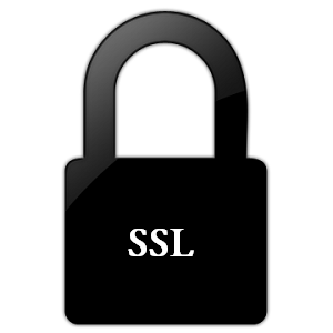 Understanding the working of Secure Socket Layer(SSL)