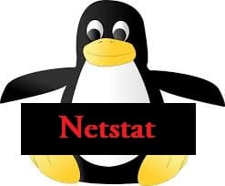 Netstat command examples and its usage