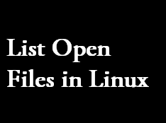 lsof Command Usage and Examples