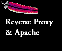 How to Configure Basic Apache Reverse Proxy