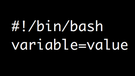 Variables in Linux Shell Scripts: Explained With Examples
